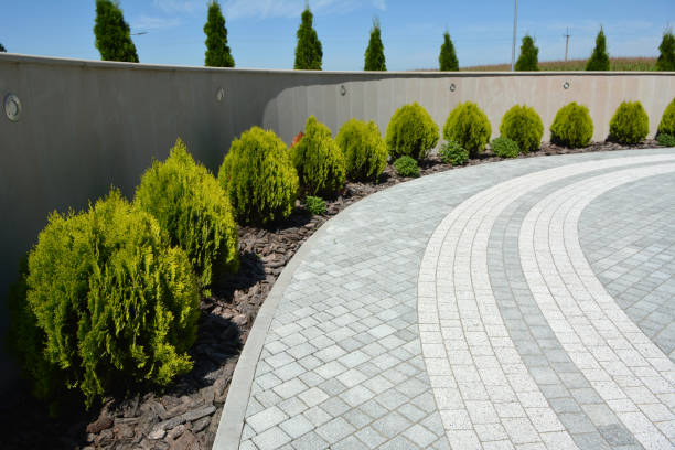 Best Residential Paver Driveway  in Thomaston, GA